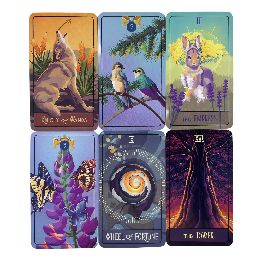 The Pacific Northwest Tarot Fa - Party Games Entertainer ulasan dan harga
